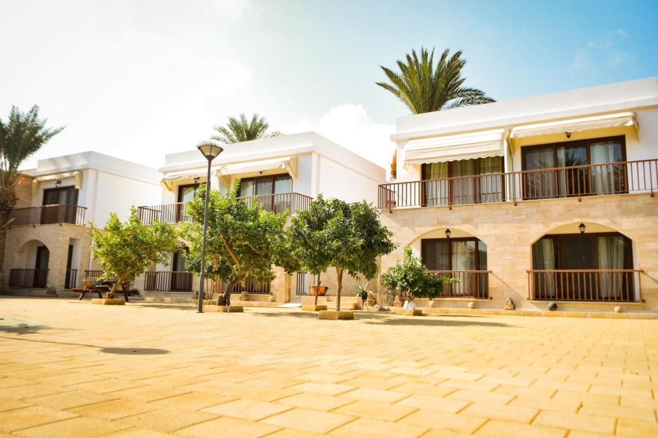 Golden Palms & Cafe * Αμμόχωστος